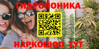прущие крисы Чебаркуль