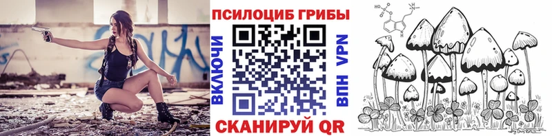 Галлюциногенные грибы мухоморы Павловский Посад