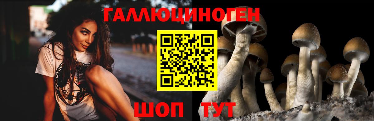 Павловский Посад  Псилоцибиновые грибы мицелий  Вход с VPN  Галлюциногенные грибы GOLDEN TEACHER 